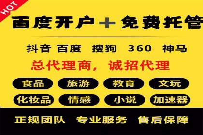 行业领先企业的网络推广与竞价经验